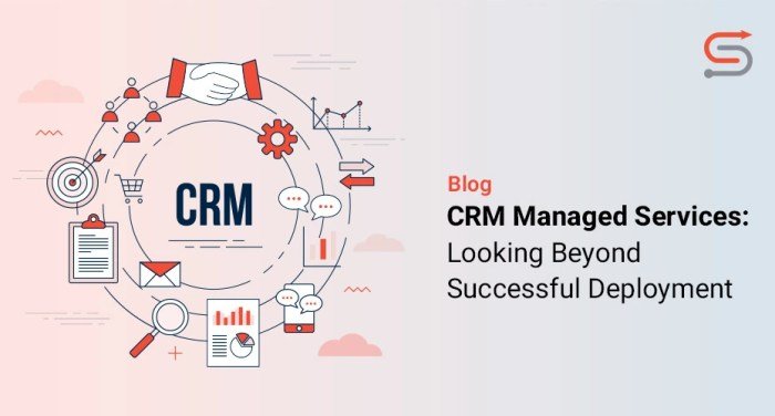 Simplifying CRM Maintenance with Managed Server Hosting Services