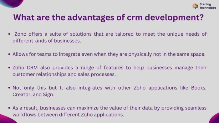 Exploring the Role of Hosting in CRM Software Development